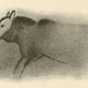 An ancient cave painting of a wolf-like canine, Font-de-Gaume, France. (Credit: Henri Breuil)